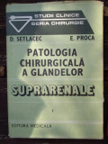 Patologia chirurgicala a glandelor suprarenale - D. Setlacec, E. Proc