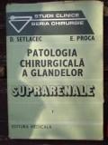 Patologia chirurgicala a glandelor suprarenale - D. Setlacec, E. Proc