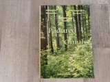 Padurea si omul de Popescu Gheorghe,Patrascoiu Nicolae,Georgescu Valeriu