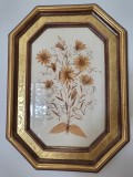 Tablou vintage ,cu plante presate, cu rama octogonala din lemn aurit , aur 22 k, marcat, dimensiune 51 cm/38 cm