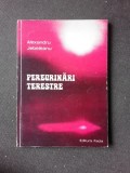 PEREGRINARI TERESTRE, VERSURI - ALEXANDRU JEBELEANU (CU DEDICATIA AUTORULUI PENTRU PETRU VINTILA)