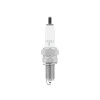 Bujie NGK CPR9EA-9, NGK Spark Plugs