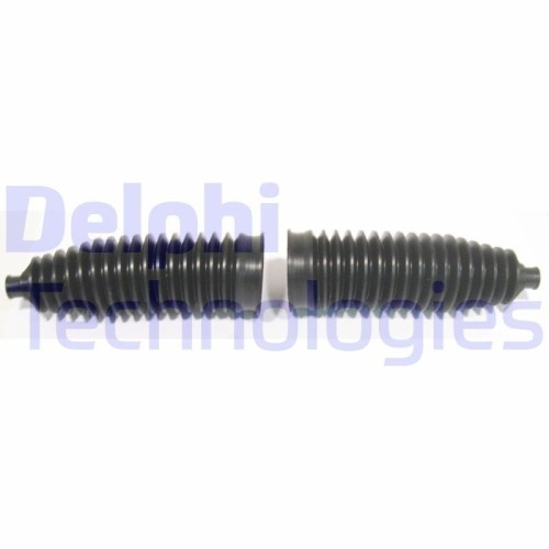 Delphi Ansamblu burduf, directie