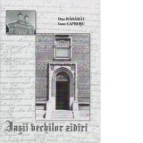 Iasii vechilor zidiri - Dan Badarau