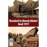 Romanii in Marele Razboi. Anul 1917 - Mihail E. Ionescu