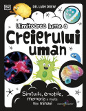 Uimitoarea lume a creierului uman - Hardcover - Dr. Liam Drew - Galaxia Copiilor