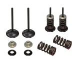Set supape otel admisie Suzuki RMZ 250 07- 22