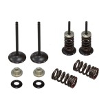Set supape otel admisie Suzuki RMZ 250 07- 22