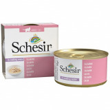 Schesir cat somon &icirc;n supă 85 g