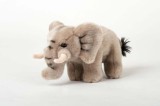 Elefant de plus 20cm E0201 nat geo