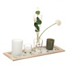 Set Suporturi Lum&acirc;nări și Bețișoare Parfumate, Multicolor, Plante Decorative și Pietriș Decorativ, 5 Piese, Oem