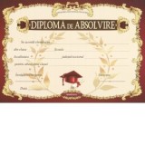 Diploma absolvire 1