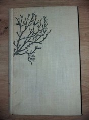 Zorii robilor - V. Em. Galan