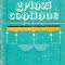 Grinzi continue - Constantin Avram