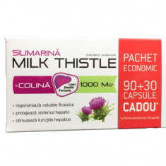 Silimarina Milk Thistle + Colina 120 capsule Zdrovit