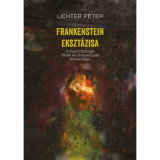 Frankenstein ekszt&aacute;zisa - Lichter P&eacute;ter, 2024