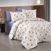 Lenjerie de pat ranforce Clasy king size (RNF_43)