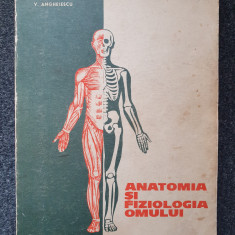 ANATOMIA SI FIZIOLOGIA OMULUI. Manual clasa a XII-a - Santa