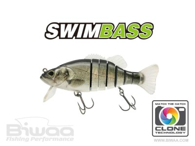 VOBLER BIWAA SWIMBASS SLOW SINKING BRAZINO 15CM 65G foto