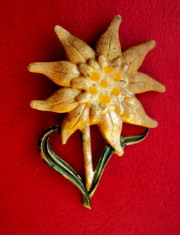 Emblema Edelweiss cu ac foto