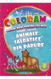 Coloram desene mari pentru cei mici: Animale salbatice din padure