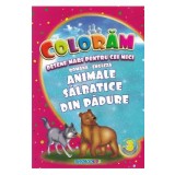 Coloram desene mari pentru cei mici: Animale salbatice din padure