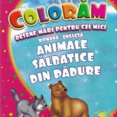 Coloram desene mari pentru cei mici: Animale salbatice din padure