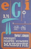 Povesti despre numere maiestre &ndash; Florica T. Campan - Carte beletristica