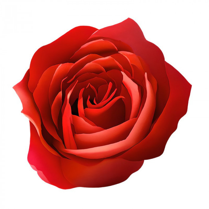 Sticker decorativ, Trandafir, Rosu, 62 cm, 8234ST