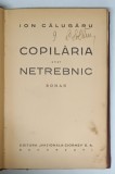 COPILARIA UNUI NETREBNIC. ROMAN de ION CALUGARU