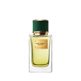 Dolce &amp; Gabbana, Velvet Vetiver, Apă de parfum, Unisex, 100 ml