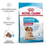 Royal Canin Medium Starter Mother &amp; Babydog, mama si puiul, hrana uscata caine, 15 kg