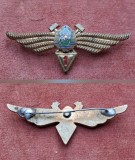 Insigna Aviație.