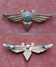 Insigna Aviație. foto