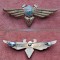 Insigna Aviație.
