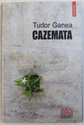 CAZEMATA de TUDOR GANEA , 2016 foto