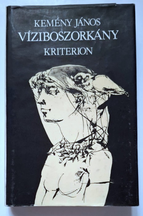 Viziboszorkany - Kemeny Janos