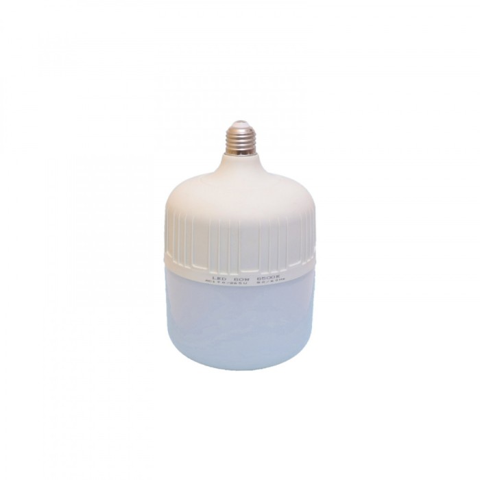 Bec foto LED 60W 6500K - lumina continua rece,fasung E27