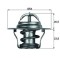 MAHLE TX 14 87D termostat,lichid racire