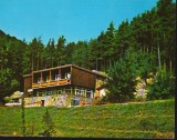 CPI B12378 CARTE POSTALA - CABANA CURMATURA STEZII