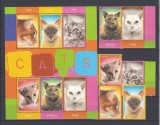 Guyana - PISICI - Colita + Serie - MNH