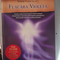 FLACARA VIOLETA - Teodor Vasile