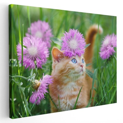 Tablou pisica maro printre flori roz Tablou canvas pe panza CU RAMA 30x40 cm foto