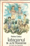 Iataganul si alte povestiri - Doina Cetea