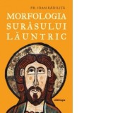 Morfologia surasului launtric - Ioan Badilita