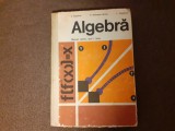 ALGEBRA MANUAL PENTRU ANUL I DE LICEU PANAITOPOL/BOGDANOV EDITIE CARTONATA