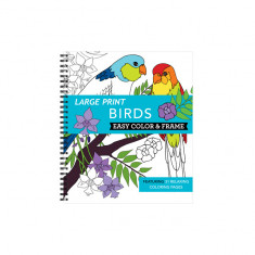 Large Print Easy Color & Frame - Birds (Adult Coloring Book)