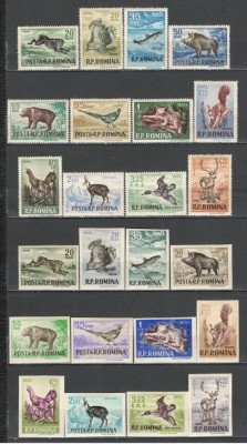 Romania.1956 Vanatoarea XR.315 foto