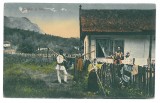 379 - ETHNICS, Country Life, Romania - old postcard - unused