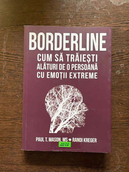 Paul T. Mason - Borderline. Cum sa traiesti alaturi de o persoana cu emotii extreme